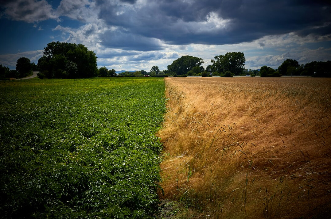 german landscape climate change